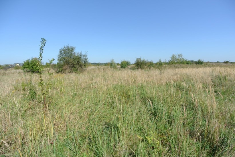 Działka Sprzedaż - świętokrzyskie, buski, Busko-Zdrój, Siesławice