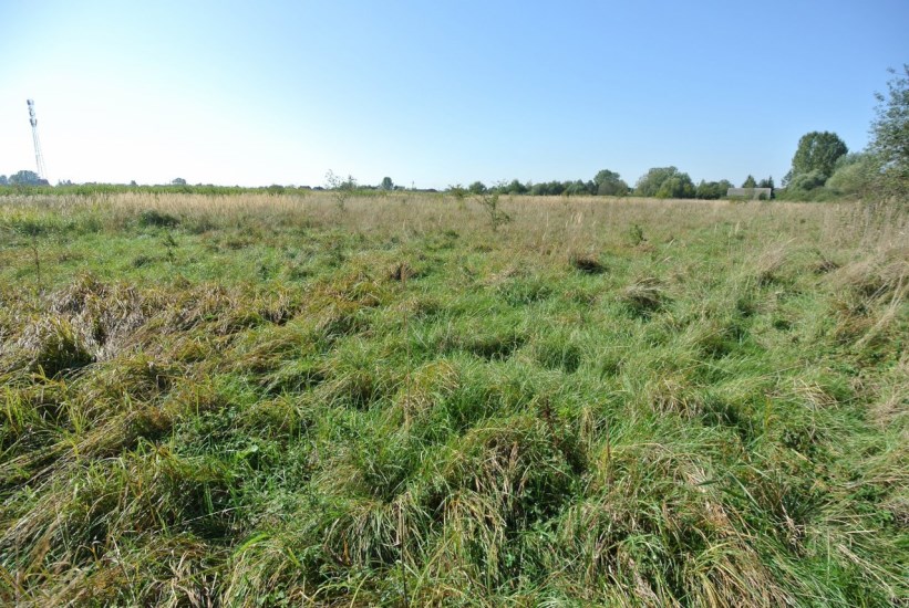 Działka Sprzedaż - świętokrzyskie, buski, Busko-Zdrój, Siesławice