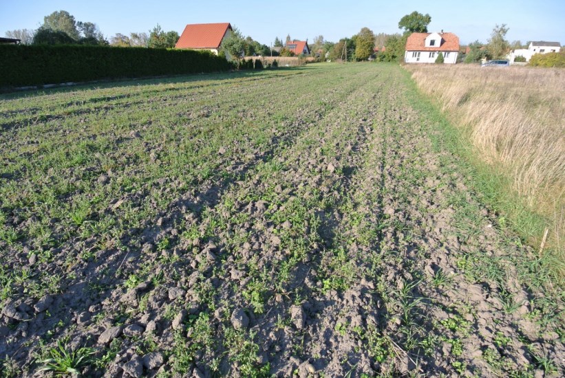 Działka Sprzedaż - świętokrzyskie, pińczowski, Pińczów (gw), Brzeście