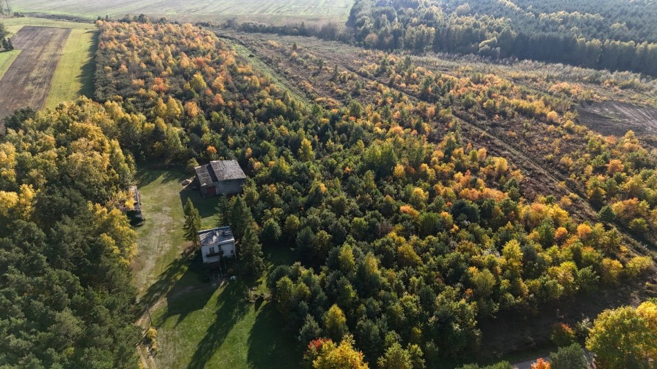 Działka Sprzedaż - mazowieckie, pruszkowski, Brwinów (gw)