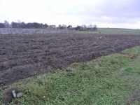 Działka Sprzedaż - świętokrzyskie, jędrzejowski, Jędrzejów, Borki