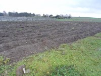 Działka Sprzedaż - świętokrzyskie, jędrzejowski, Jędrzejów, Borki
