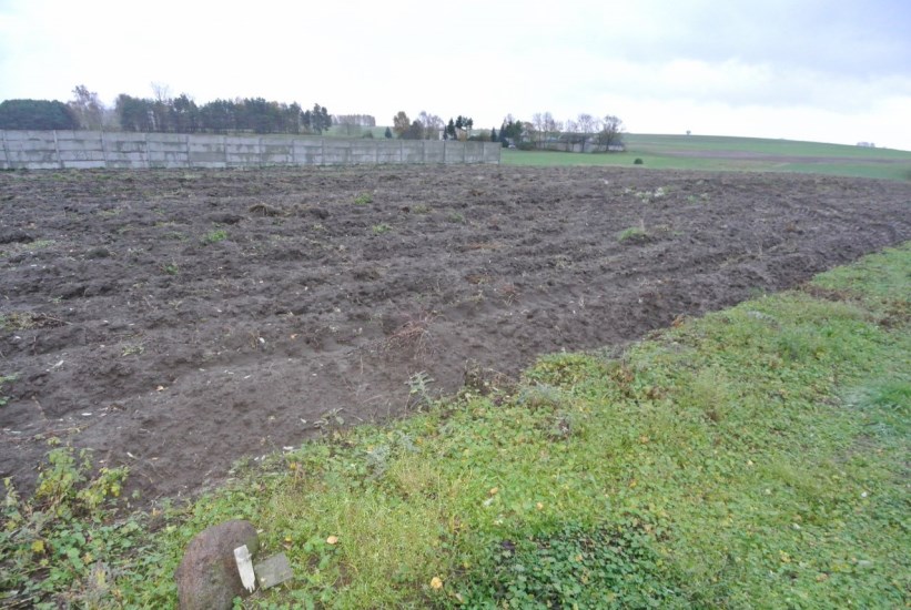 Działka Sprzedaż - świętokrzyskie, jędrzejowski, Jędrzejów, Borki