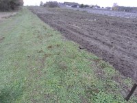 Działka Sprzedaż - świętokrzyskie, jędrzejowski, Jędrzejów, Borki