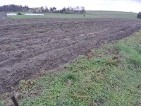Działka Sprzedaż - świętokrzyskie, jędrzejowski, Jędrzejów, Borki