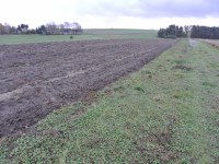 Działka Sprzedaż - świętokrzyskie, jędrzejowski, Jędrzejów, Borki