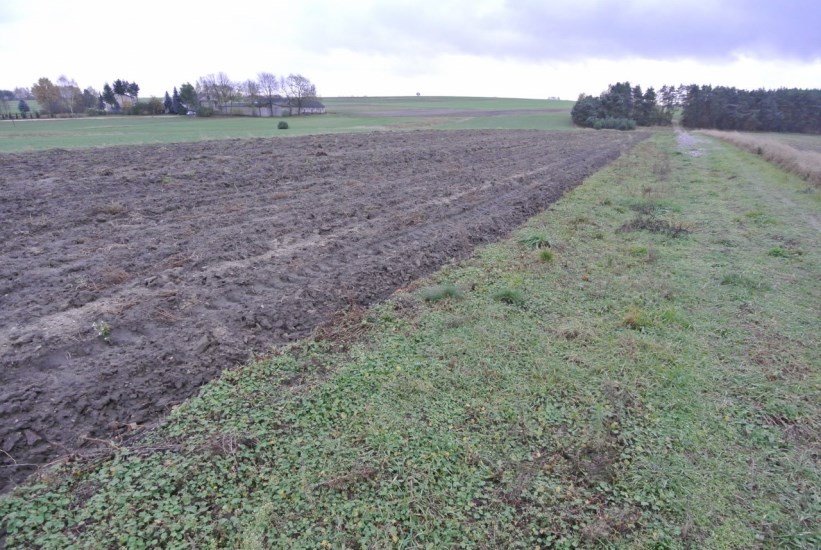 Działka Sprzedaż - świętokrzyskie, jędrzejowski, Jędrzejów, Borki