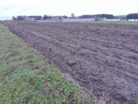 Działka Sprzedaż - świętokrzyskie, jędrzejowski, Jędrzejów, Borki