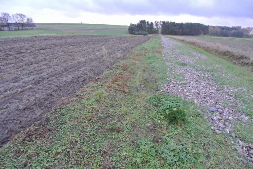 Działka Sprzedaż - świętokrzyskie, jędrzejowski, Jędrzejów, Borki