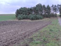 Działka Sprzedaż - świętokrzyskie, jędrzejowski, Jędrzejów, Borki