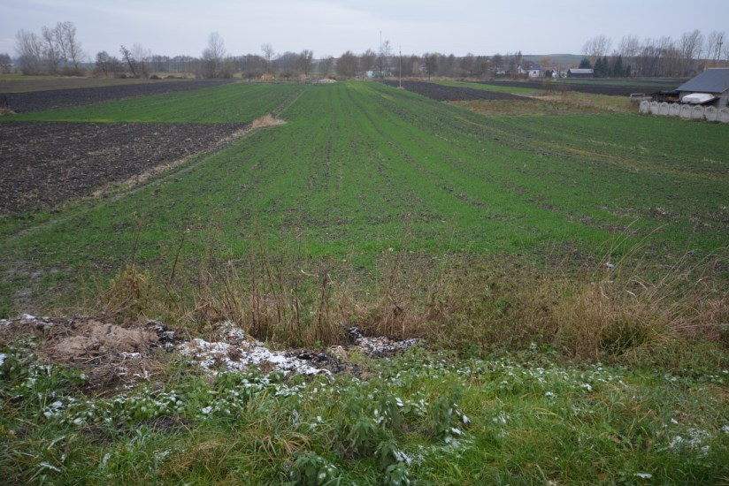 Działka Sprzedaż - świętokrzyskie, pińczowski, Michałów