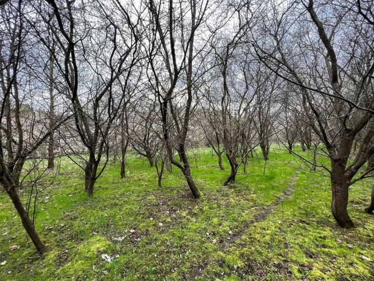 Działka Sprzedaż - świętokrzyskie, Kielce m., Kielce, Gruchawka