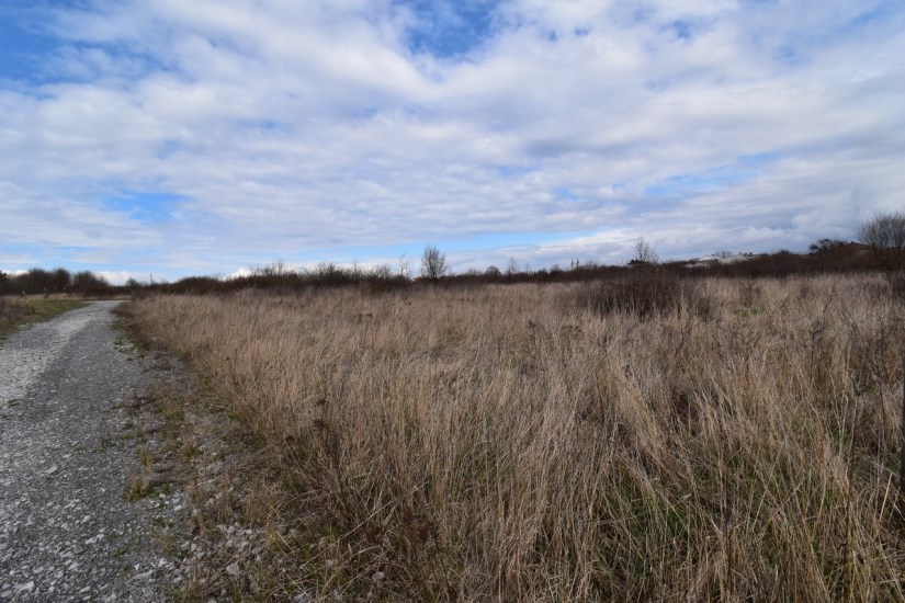 Działka Sprzedaż - świętokrzyskie, kielecki, Piekoszów