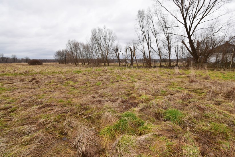 Działka Sprzedaż - świętokrzyskie, kielecki, Mniów