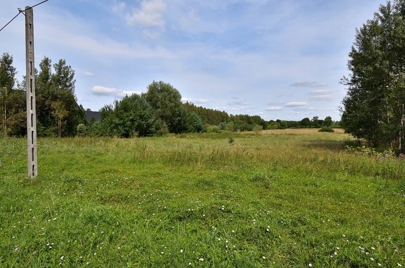 Działka Sprzedaż - świętokrzyskie, kielecki, Mniów, Lisie Jamy