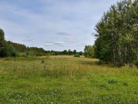 Działka Sprzedaż - świętokrzyskie, kielecki, Mniów, Lisie Jamy