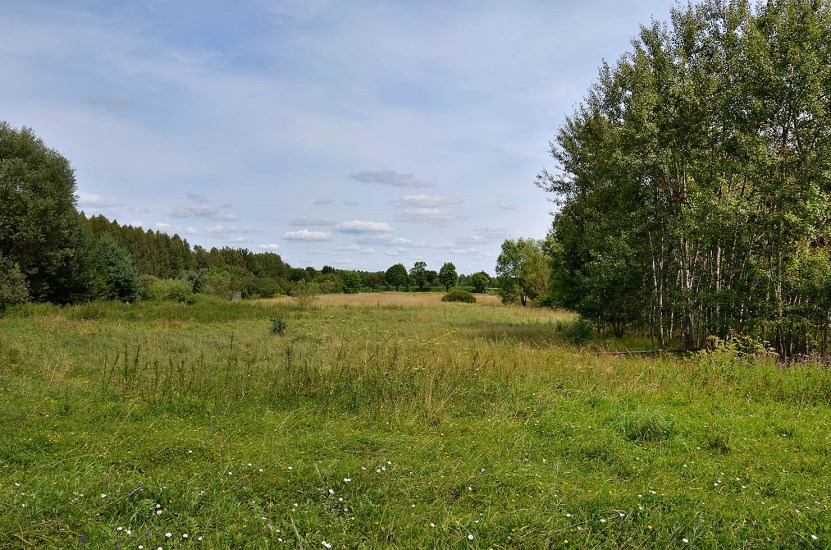 Działka Sprzedaż - świętokrzyskie, kielecki, Mniów, Lisie Jamy