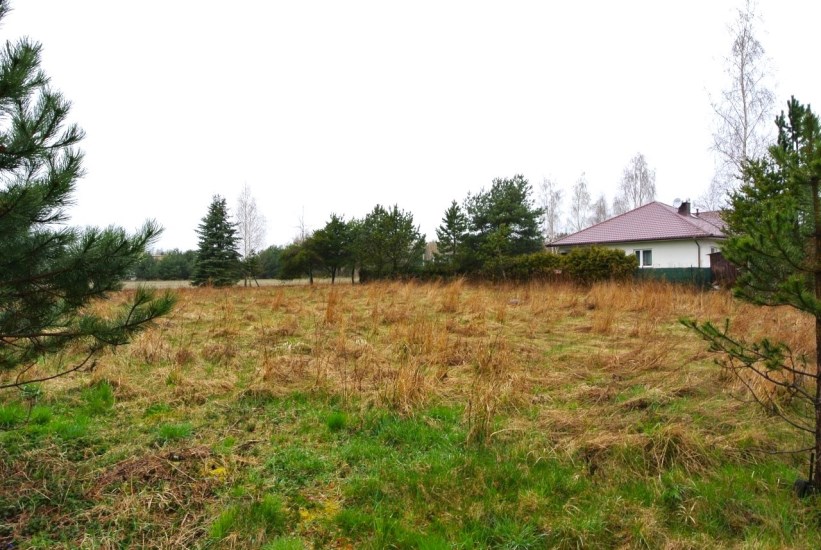 Działka Sprzedaż - mazowieckie, grodziski, Żabia Wola, Jastrzębnik