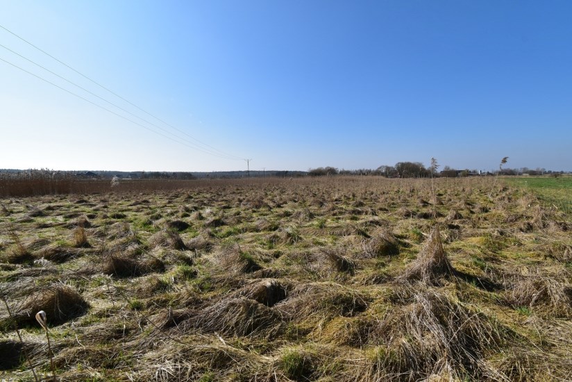 Działka Sprzedaż - świętokrzyskie, kielecki, Strawczyn, Oblęgorek