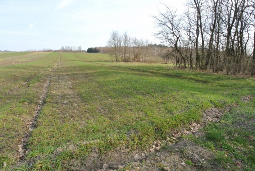 Działka Sprzedaż - świętokrzyskie, buski, Busko-Zdrój, Budzyń