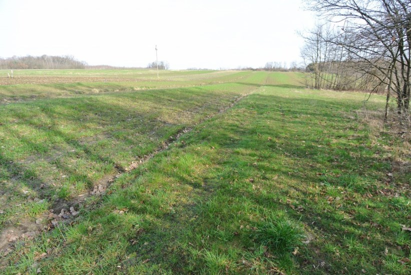 Działka Sprzedaż - świętokrzyskie, buski, Busko-Zdrój, Budzyń