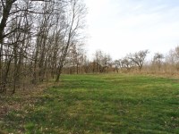 Działka Sprzedaż - świętokrzyskie, buski, Busko-Zdrój, Budzyń