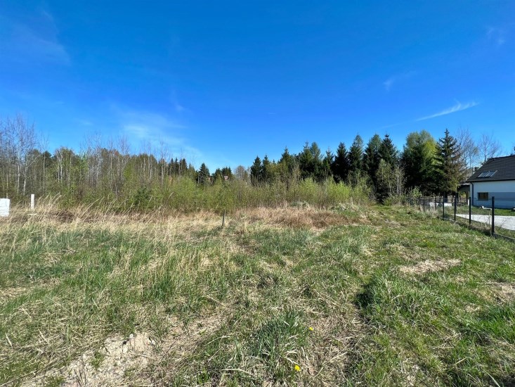 Działka Sprzedaż - świętokrzyskie, kielecki, Masłów, Ciekoty