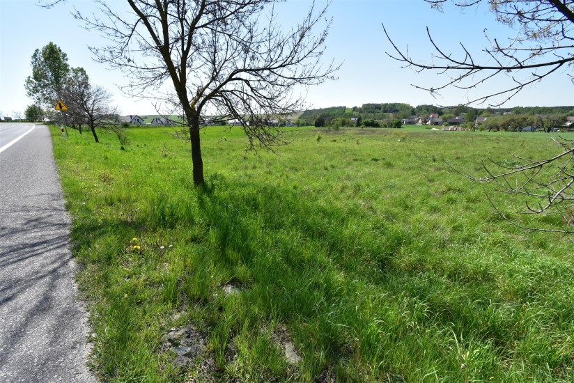Działka Sprzedaż - świętokrzyskie, kielecki, Chmielnik, Minostowice