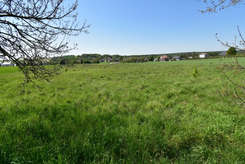 Działka Sprzedaż - świętokrzyskie, kielecki, Chmielnik, Minostowice