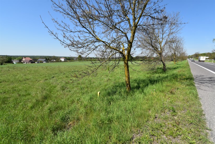 Działka Sprzedaż - świętokrzyskie, kielecki, Chmielnik, Minostowice