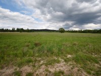 Działka Sprzedaż - świętokrzyskie, kielecki, Chęciny