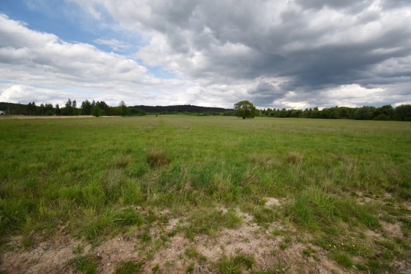 Działka Sprzedaż - świętokrzyskie, kielecki, Chęciny
