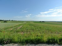 Działka Sprzedaż - świętokrzyskie, pińczowski, Kije, Górki