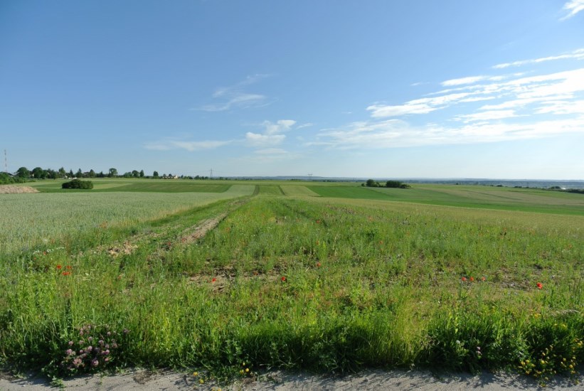 Działka Sprzedaż - świętokrzyskie, pińczowski, Kije, Górki