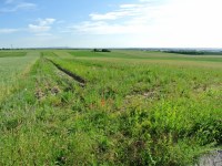 Działka Sprzedaż - świętokrzyskie, pińczowski, Kije, Górki