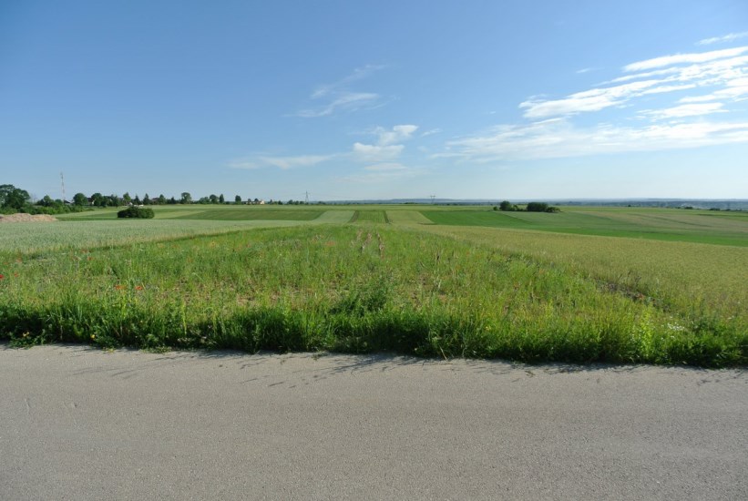 Działka Sprzedaż - świętokrzyskie, pińczowski, Kije, Górki
