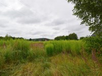 Działka Sprzedaż - świętokrzyskie, kielecki, Morawica, Dyminy