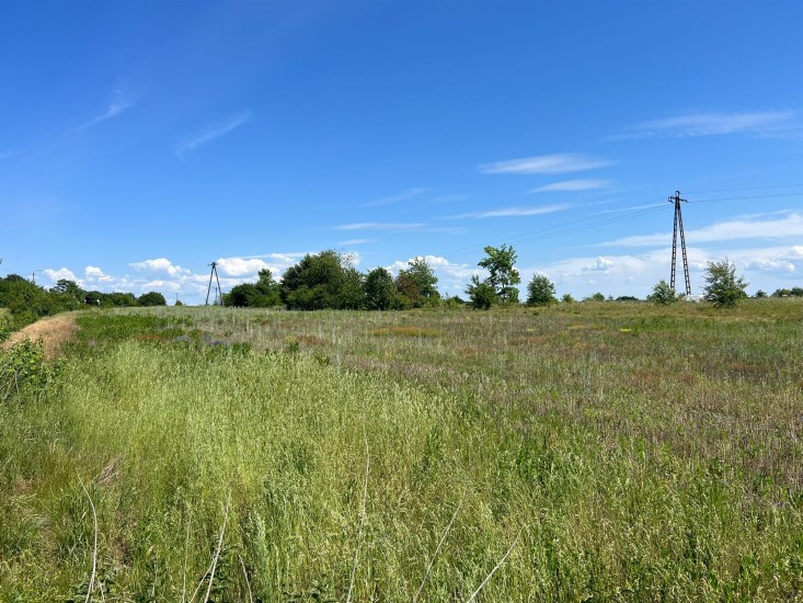 Działka Sprzedaż - świętokrzyskie, jędrzejowski, Jędrzejów