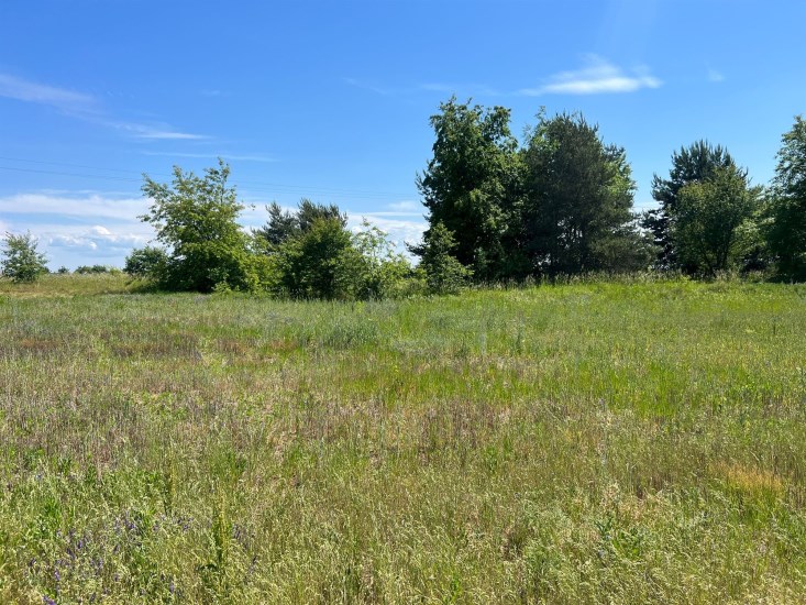 Działka Sprzedaż - świętokrzyskie, jędrzejowski, Jędrzejów
