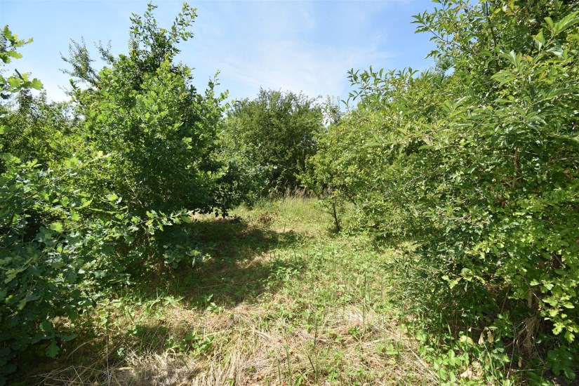 Działka Sprzedaż - świętokrzyskie, Kielce m., Kielce, Piaski