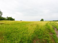 Działka Sprzedaż - świętokrzyskie, kielecki, Pierzchnica, Drugnia