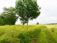 Działka Sprzedaż - świętokrzyskie, kielecki, Pierzchnica, Drugnia