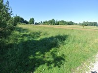 Działka Sprzedaż - świętokrzyskie, kielecki, Morawica, Radomice