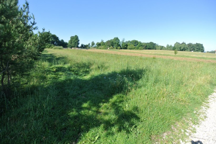 Działka Sprzedaż - świętokrzyskie, kielecki, Morawica, Radomice