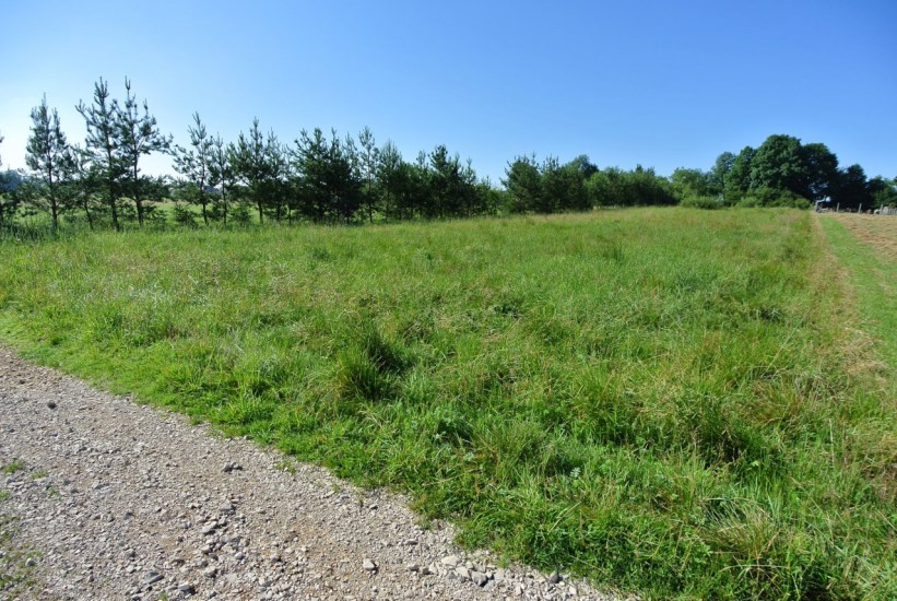 Działka Sprzedaż - świętokrzyskie, kielecki, Morawica, Radomice