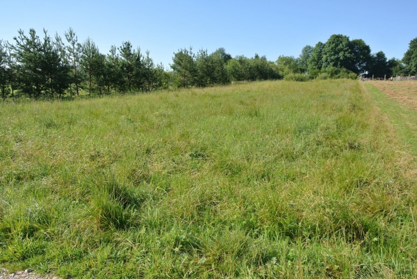 Działka Sprzedaż - świętokrzyskie, kielecki, Morawica, Radomice
