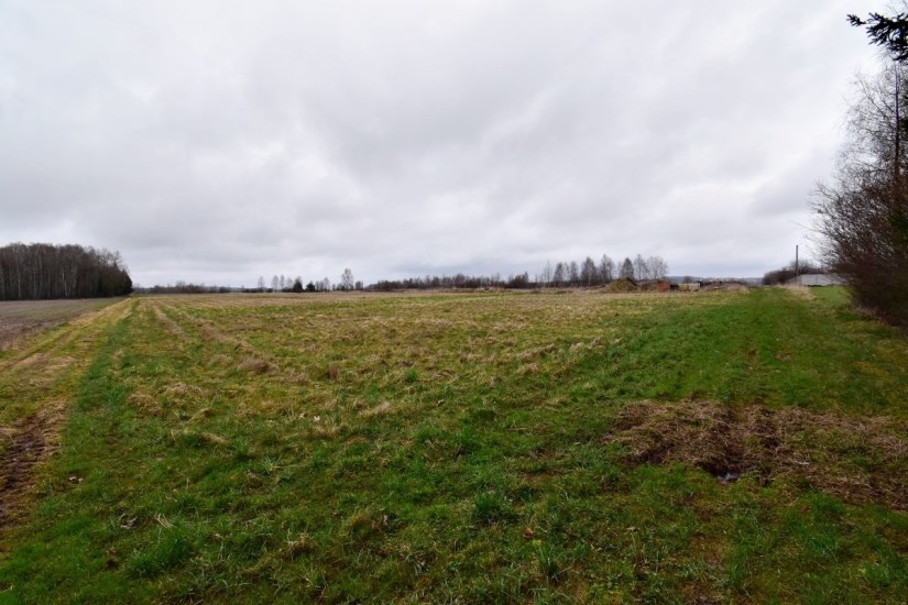 Działka Sprzedaż - świętokrzyskie, kielecki, Mniów, Grzymałków