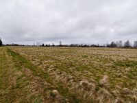 Działka Sprzedaż - świętokrzyskie, kielecki, Mniów, Grzymałków