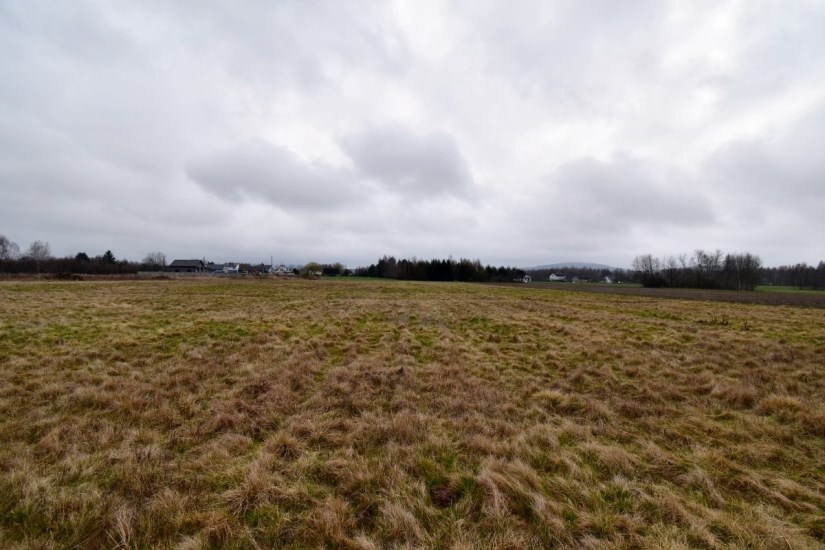 Działka Sprzedaż - świętokrzyskie, kielecki, Mniów, Grzymałków