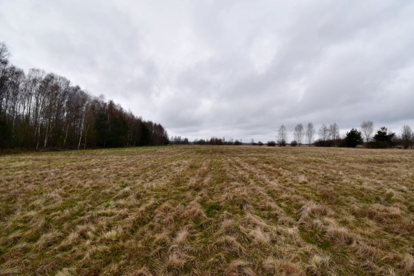 Działka Sprzedaż - świętokrzyskie, kielecki, Mniów, Grzymałków